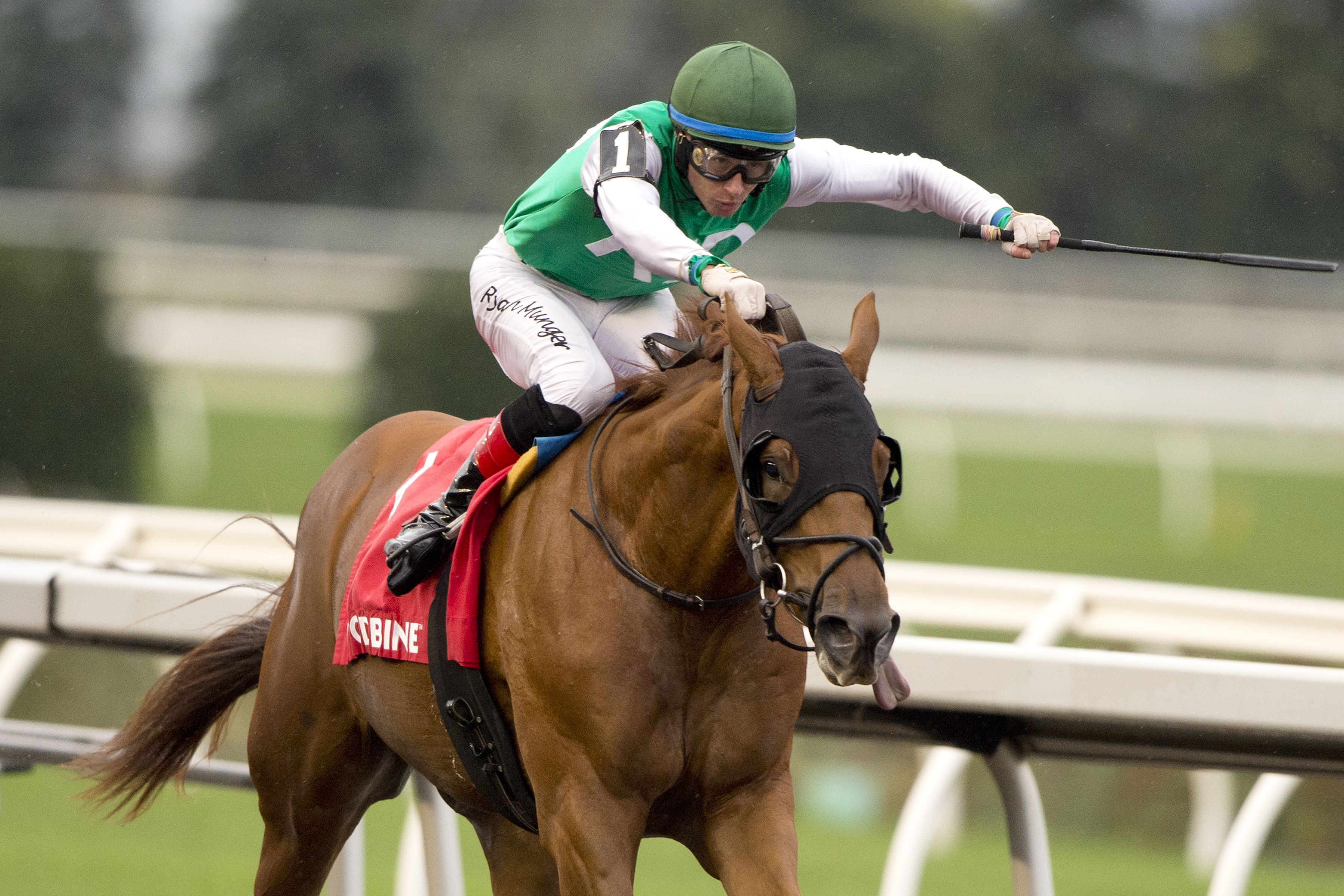Big Time Boss cuts back under leading stakes rider Hernandez in